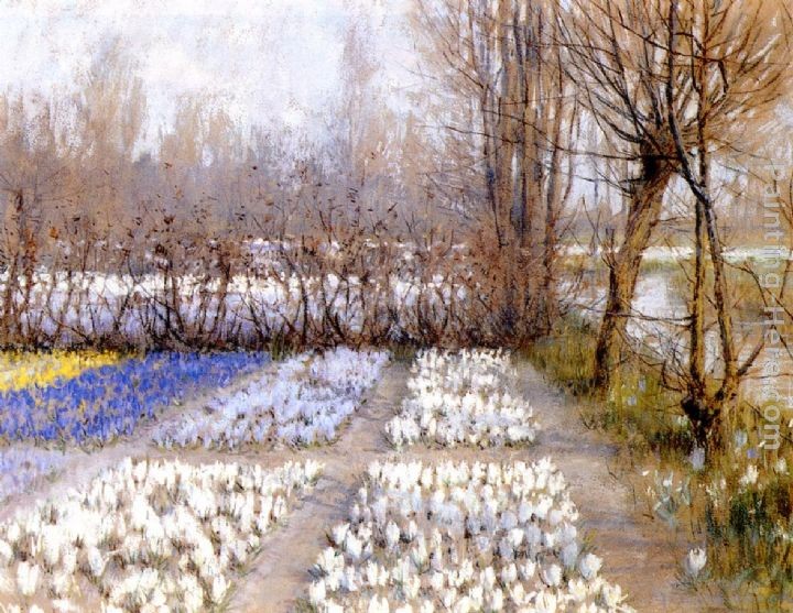 George Hitchcock Spring Crosuc Fields